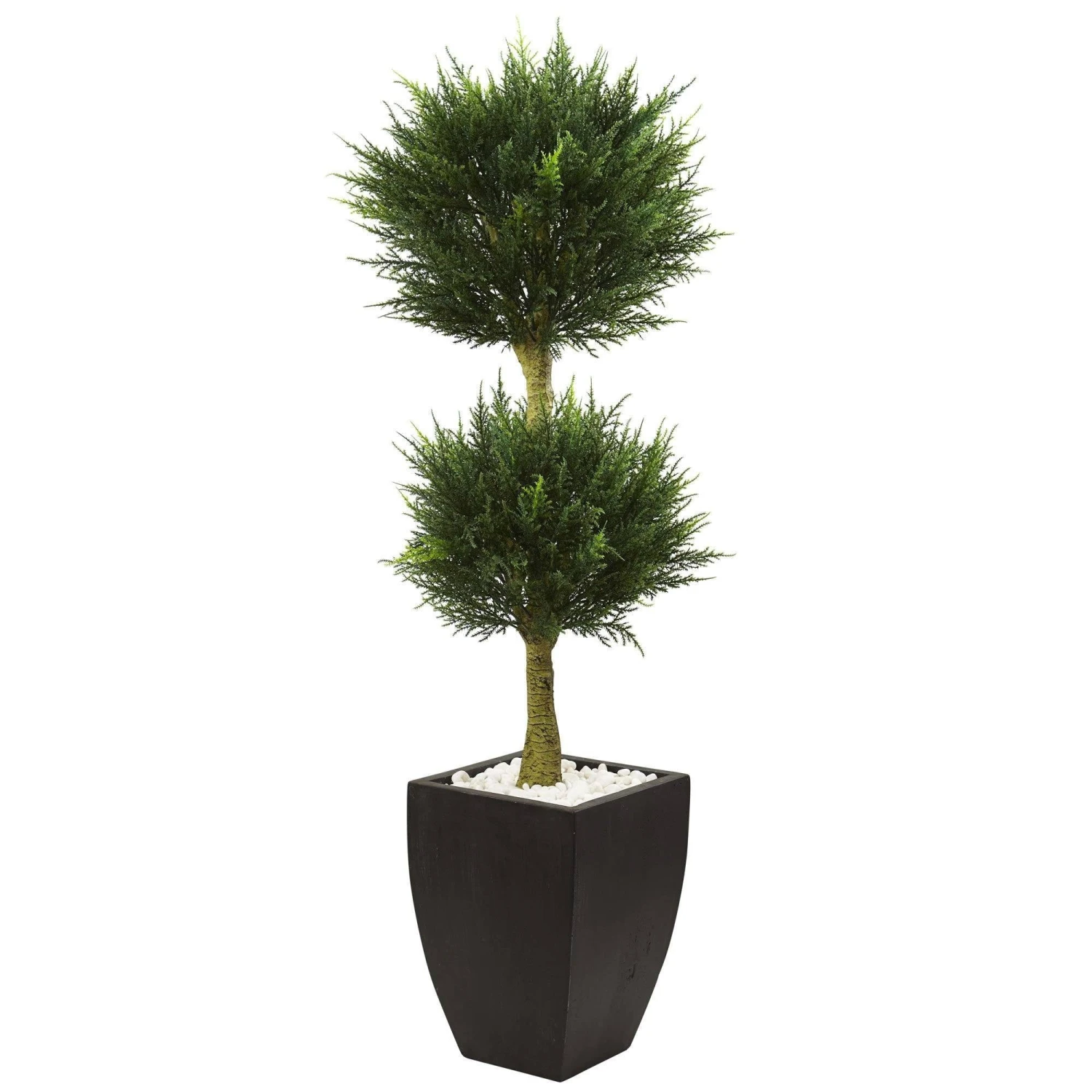 Cypress Topiary With Black Planter UV Resistant (Indoor/Outdoor) 3 Cypress Topiary With Black Planter UV Resistant (Indoor/Outdoor)