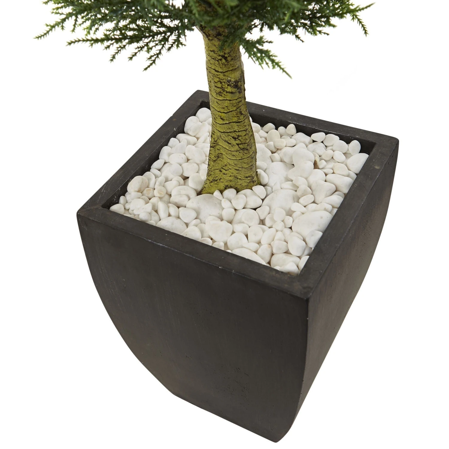 Cypress Topiary With Black Planter UV Resistant (Indoor/Outdoor) 4 Cypress Topiary With Black Planter UV Resistant (Indoor/Outdoor) - Image 2