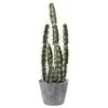 Decorative Cactus Garden W/Cement Planter 1 Decorative Cactus Garden W/Cement Planter -Artificial Flowers Sale artificial decorative cactus garden wcement planter nearly natural 377095