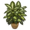 Dieffenbachia Artificial Plant In Ceramic Planter 1 Dieffenbachia Artificial Plant In Ceramic Planter -Artificial Flowers Sale artificial dieffenbachia artificial plant in ceramic planter nearly natural 893773