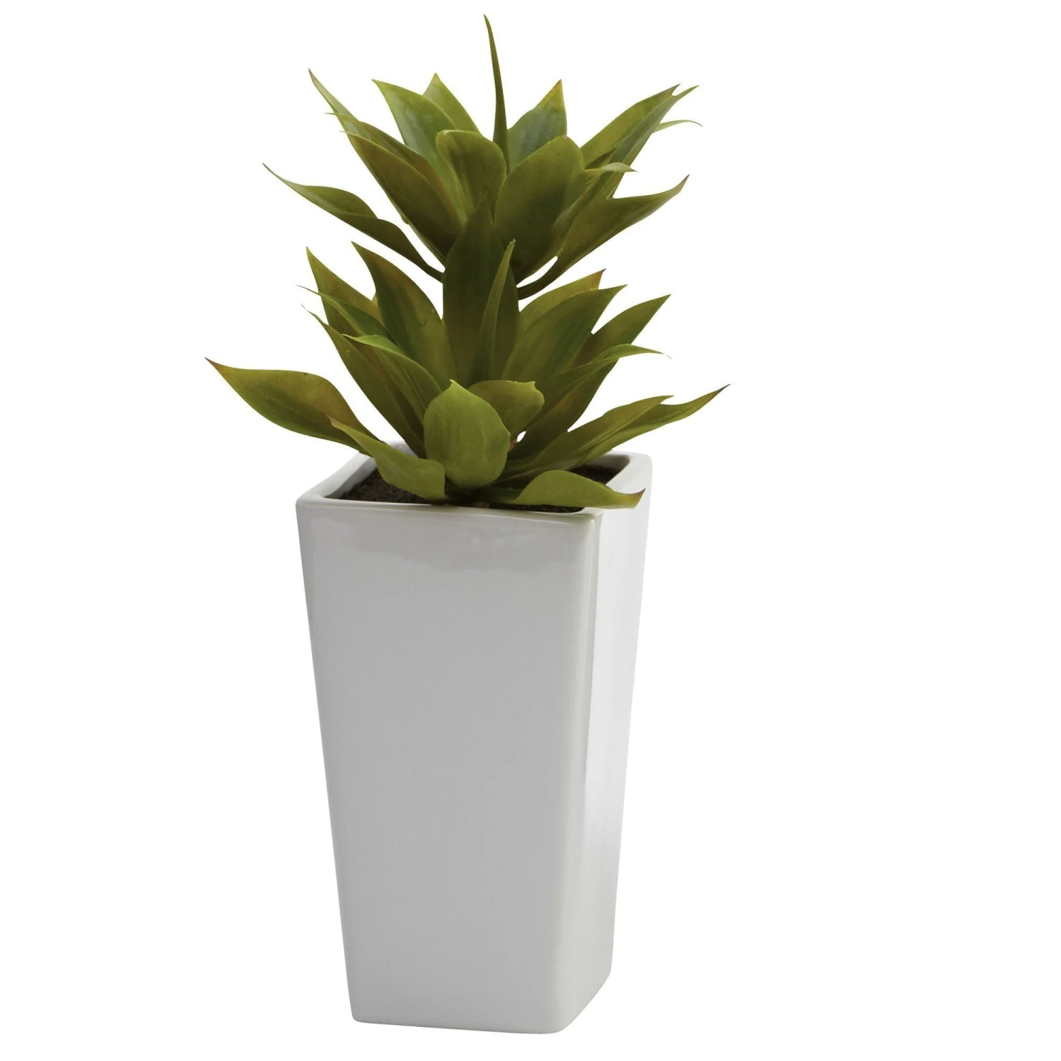 Double Mini Agave W/Planter (Set Of 2) 4 Double Mini Agave W/Planter (Set Of 2) - Image 2