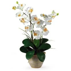 Double Stem Phalaenopsis Silk Orchid Arrangement -Artificial Flowers Sale artificial double stem phalaenopsis silk orchid arrangement nearly natural cream 627042