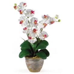 Double Stem Phalaenopsis Silk Orchid Arrangement -Artificial Flowers Sale artificial double stem phalaenopsis silk orchid arrangement nearly natural white 777229