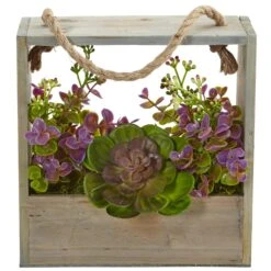Echeveria Succulent And Eucalyptus Artificial Plant In Hanging Frame 7 Echeveria Succulent And Eucalyptus Artificial Plant In Hanging Frame -Artificial Flowers Sale artificial echeveria succulent and eucalyptus artificial plant in hanging frame nearly natural 824889