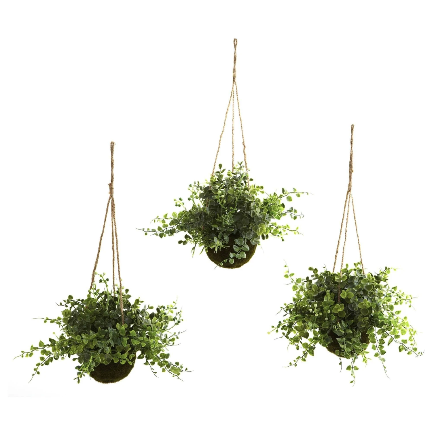 Eucalyptus, Maiden Hair & Berry Hanging Basket (Set Of 3) 3 Eucalyptus, Maiden Hair & Berry Hanging Basket (Set Of 3)