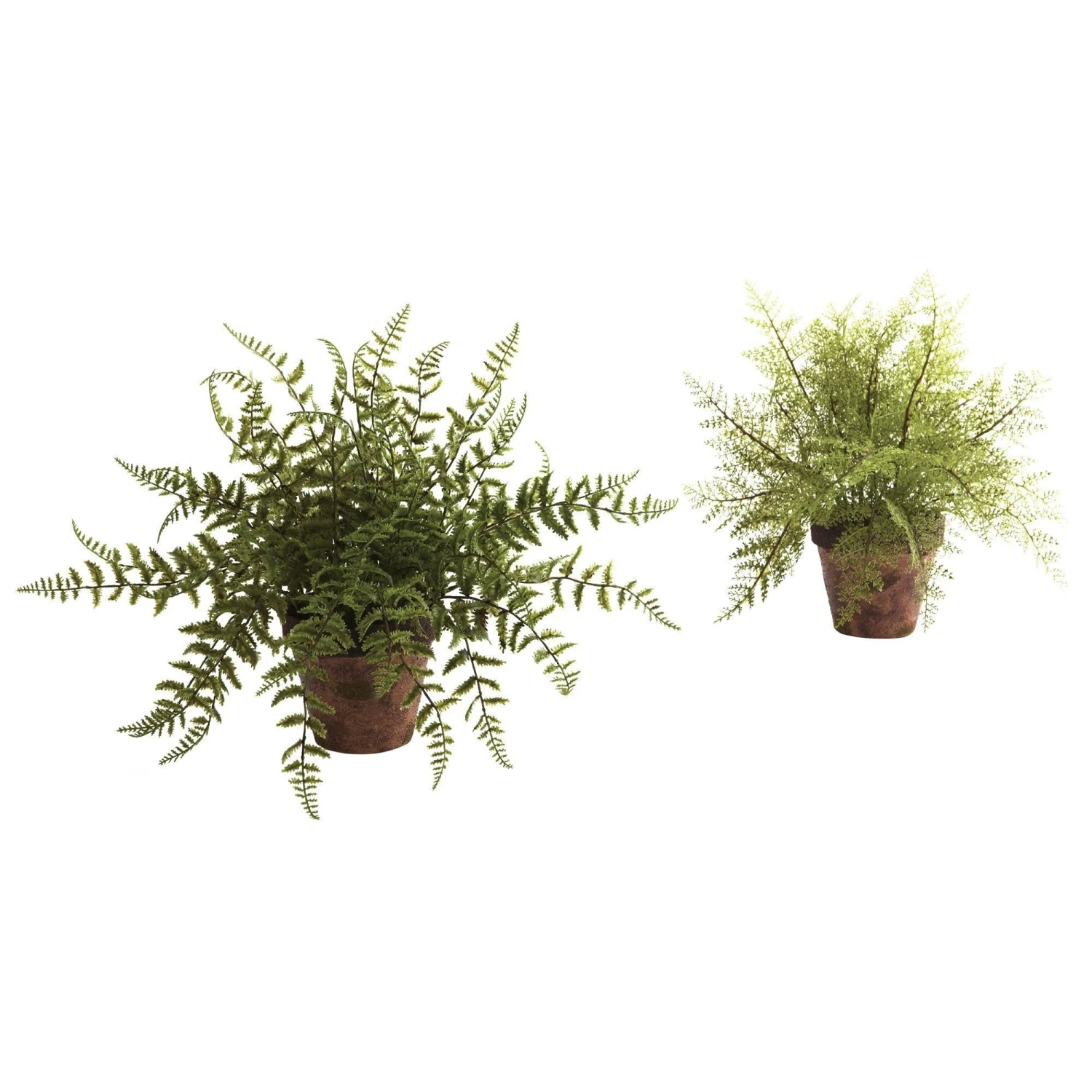 Fern W/Decorative Planter (Set Of 2) 3 Fern W/Decorative Planter (Set Of 2)