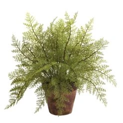 Fern W/Decorative Planter (Set Of 2) 7 Fern W/Decorative Planter (Set Of 2) -Artificial Flowers Sale artificial fern wdecorative planter set of 2 nearly natural 581329