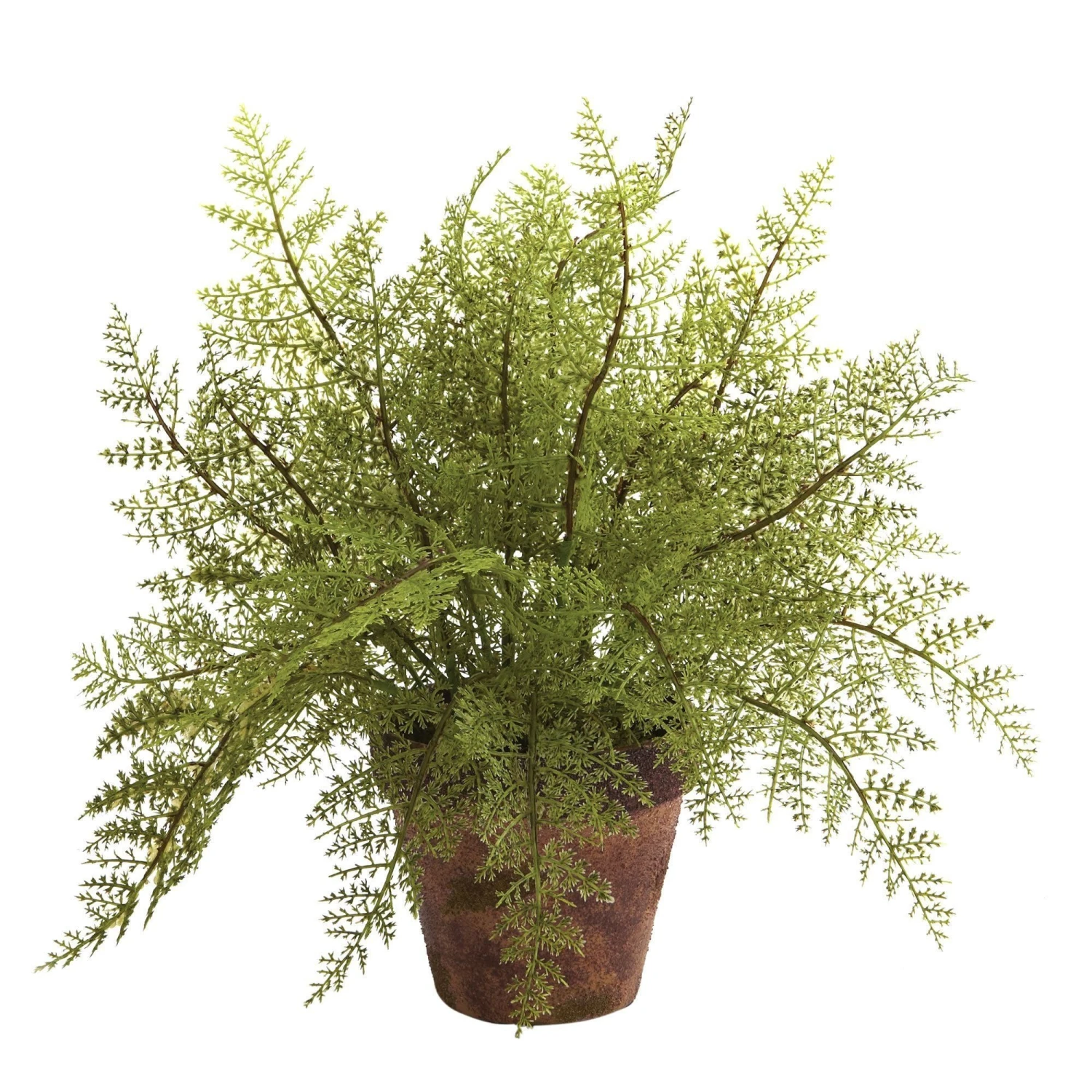 Fern W/Decorative Planter (Set Of 2) 5 Fern W/Decorative Planter (Set Of 2) - Image 3