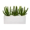 Finger Cactus Artificial Plant In White Vase -Artificial Flowers Sale artificial finger cactus artificial plant in white vase nearly natural 382443
