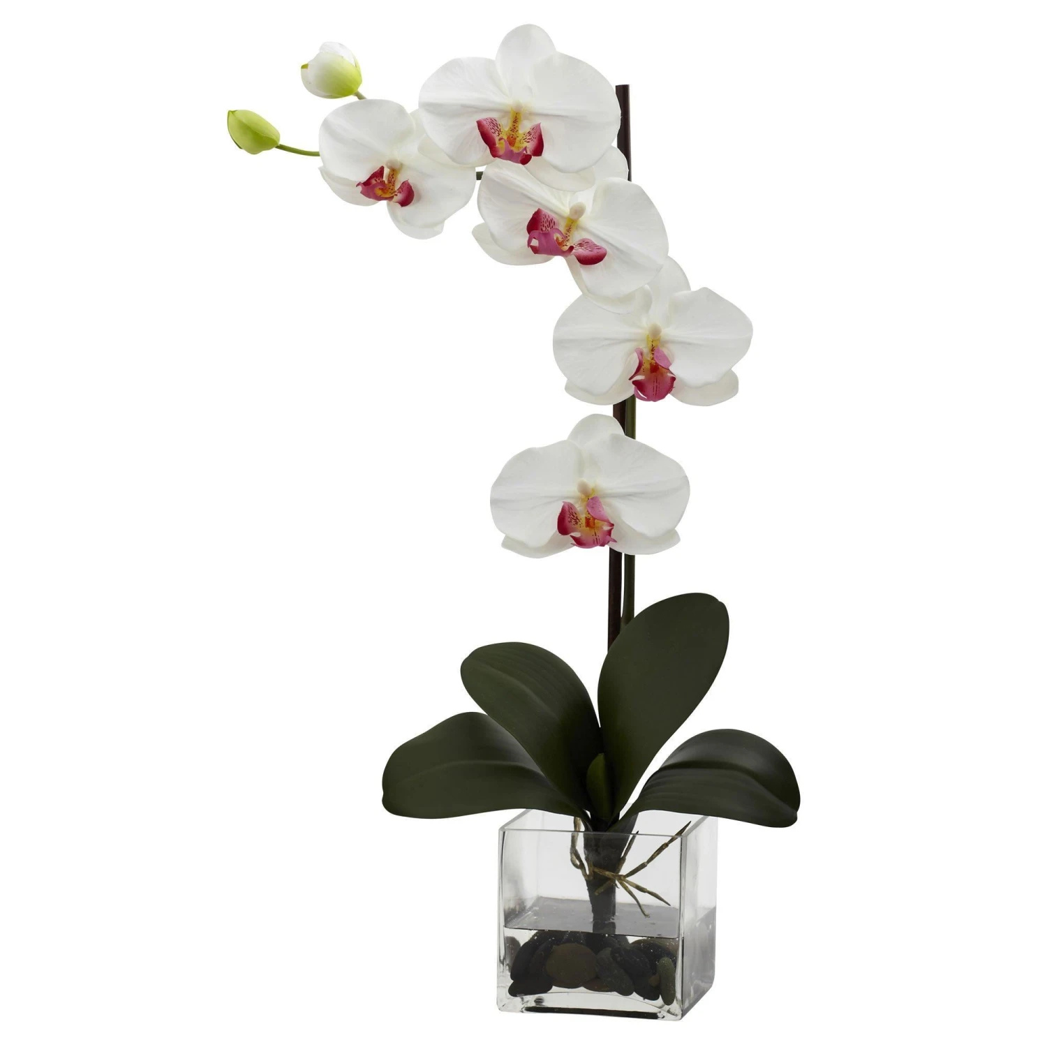 Giant Phal Orchid W/Vase Arrangement 4 Giant Phal Orchid W/Vase Arrangement - Image 2