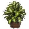 Golden Dieffenbachia Silk Plant -Artificial Flowers Sale artificial golden dieffenbachia silk plant nearly natural 845789