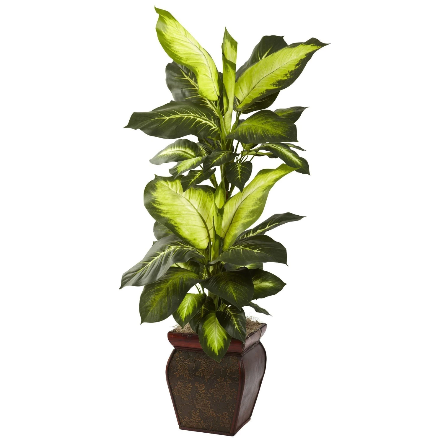 Golden Dieffenbachia W/Decorative Planter 3 Golden Dieffenbachia W/Decorative Planter