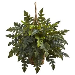 Holly Fern Hanging Basket