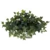 Ivy W/White Wash Planter Silk Plant