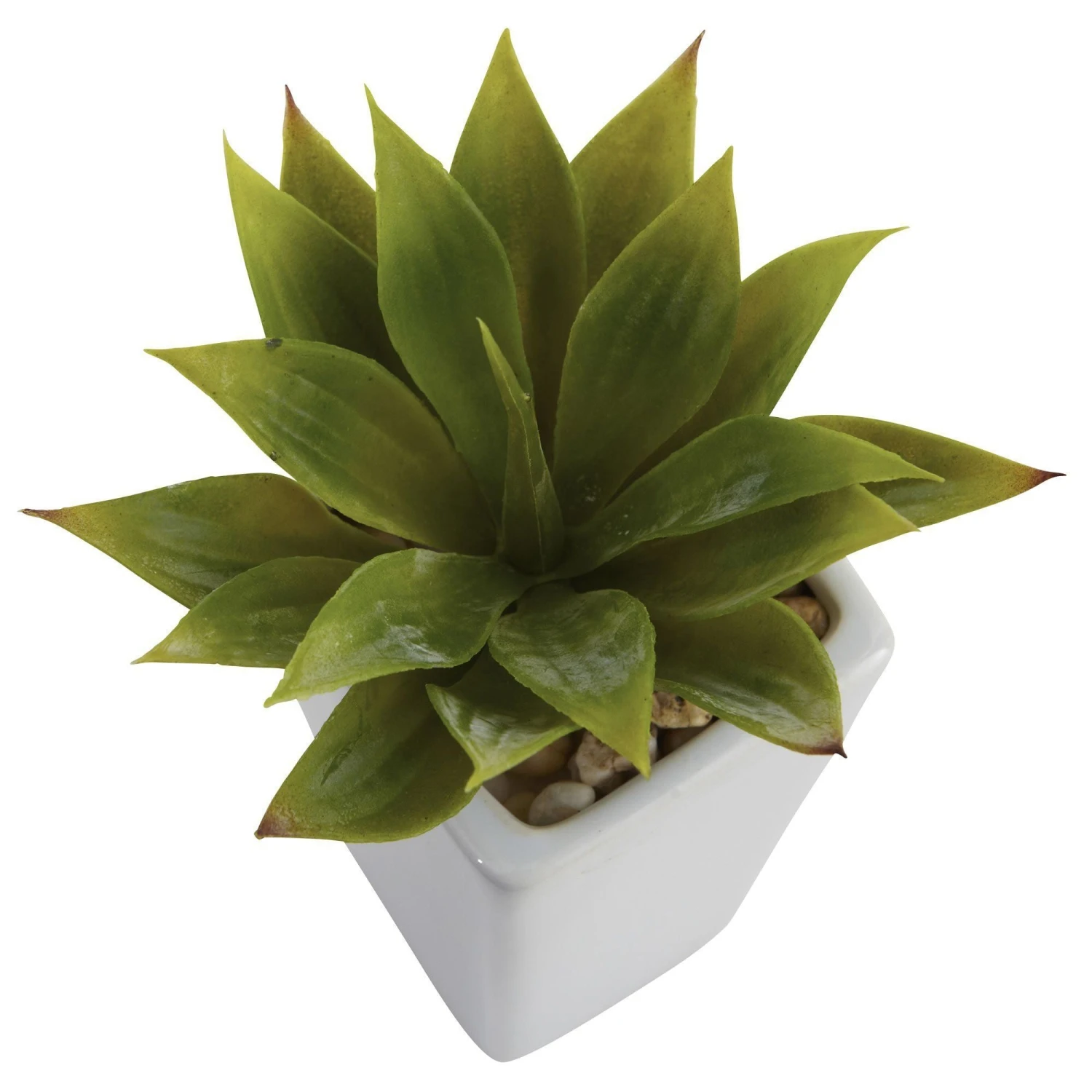 Mini Agave W/ Planter (Set Of 3) White 5 Mini Agave W/ Planter (Set Of 3) White - Image 3