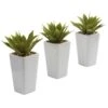 Mini Agave W/ Planter (Set Of 3) White 1 Mini Agave W/ Planter (Set Of 3) White -Artificial Flowers Sale artificial mini agave w planter set of 3 white nearly natural 795800