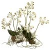Mini Phalaenopsis Set On Coral -Artificial Flowers Sale artificial mini phalaenopsis set on coral nearly natural 605130