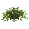 Mix Stephanotis Artificial Plant In Decorative Planter 1 Mix Stephanotis Artificial Plant In Decorative Planter -Artificial Flowers Sale artificial mix stephanotis artificial plant in decorative planter nearly natural 699307