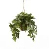 Nepthytis Hanging Basket -Artificial Flowers Sale artificial nepthytis hanging basket nearly natural 821232
