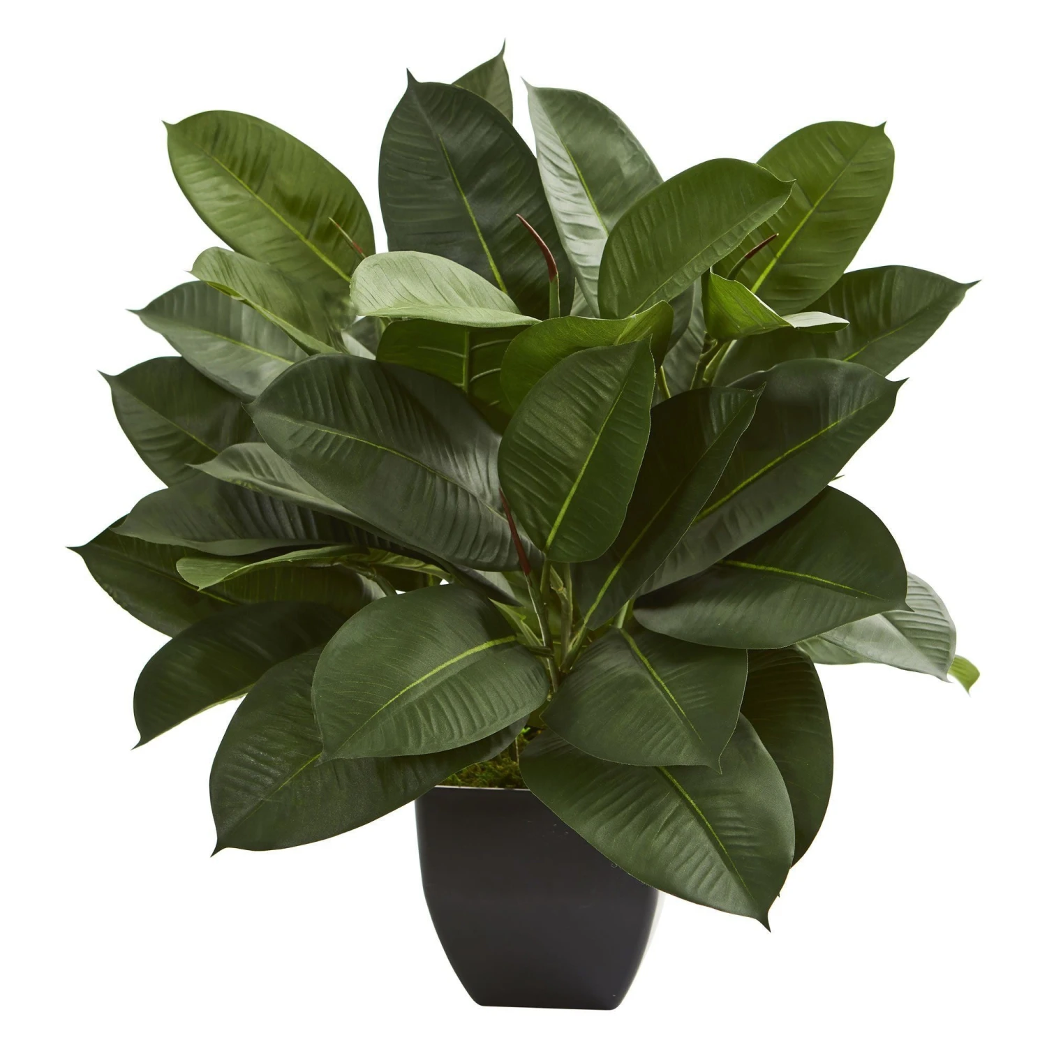 Oak Ficus Artificial Plant 3 Oak Ficus Artificial Plant