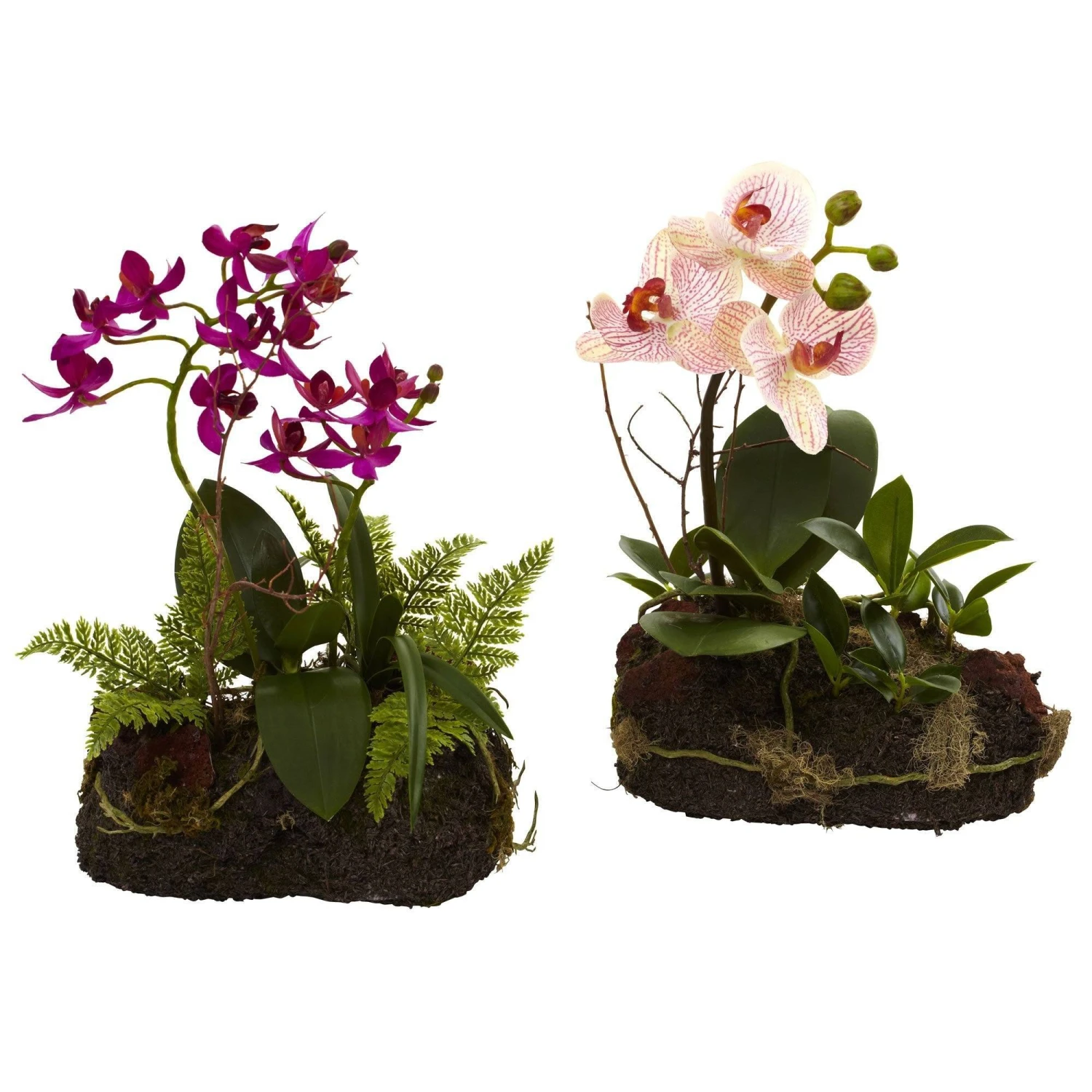Orchid Island (Set Of 2) 3 Orchid Island (Set Of 2)