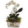 Orchid & Succulent Garden W/White Wash Planter