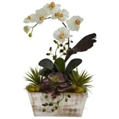 Orchid & Succulent Garden W/White Wash Planter