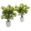 Palms In White Planter Artificial Plant (Set Of 2) 1 Palms In White Planter Artificial Plant (Set Of 2) -Artificial Flowers Sale artificial palms in white planter artificial plant set of 2 nearly natural 656588