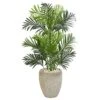 Paradise Palm Artificial Tree In Sand Colored Planter -Artificial Flowers Sale artificial paradise palm artificial tree in sand colored planter nearly natural 877888