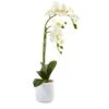 Phalaenopsis In Frosted Glass -Artificial Flowers Sale artificial phalaenopsis in frosted glass nearly natural 644503