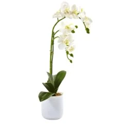 Phalaenopsis In Frosted Glass -Artificial Flowers Sale artificial phalaenopsis in frosted glass nearly natural 910753
