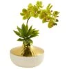 Phalaenopsis Orchid And Agave Artificial Arrangement In Vase -Artificial Flowers Sale artificial phalaenopsis orchid and agave artificial arrangement in vase nearly natural green 779902