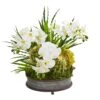 Phalaenopsis Orchid And Cactus Artificial Arrangement