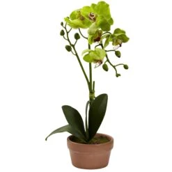 Phalaenopsis Orchid W/Clay Vase (Set Of 4) -Artificial Flowers Sale artificial phalaenopsis orchid wclay vase set of 4 nearly natural 904017