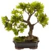 Podocarpus W/Mossed Bonsai Planter -Artificial Flowers Sale artificial podocarpus wmossed bonsai planter nearly natural 483984