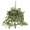 Pothos Hanging Basket Silk Plant -Artificial Flowers Sale artificial pothos hanging basket silk plant nearly natural 725507