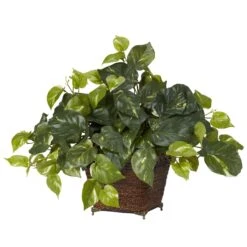 Pothos W/Coiled Rope Planter Silk Plant