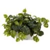 Pothos W/White Wash Planter Silk Plant -Artificial Flowers Sale artificial pothos wwhite wash planter silk plant nearly natural 234661