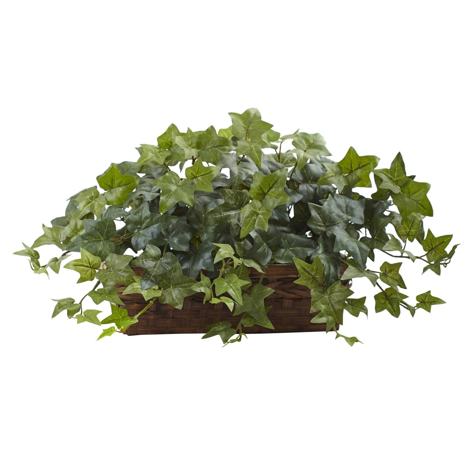 Puff Ivy W/Ledge Basket 3 Puff Ivy W/Ledge Basket