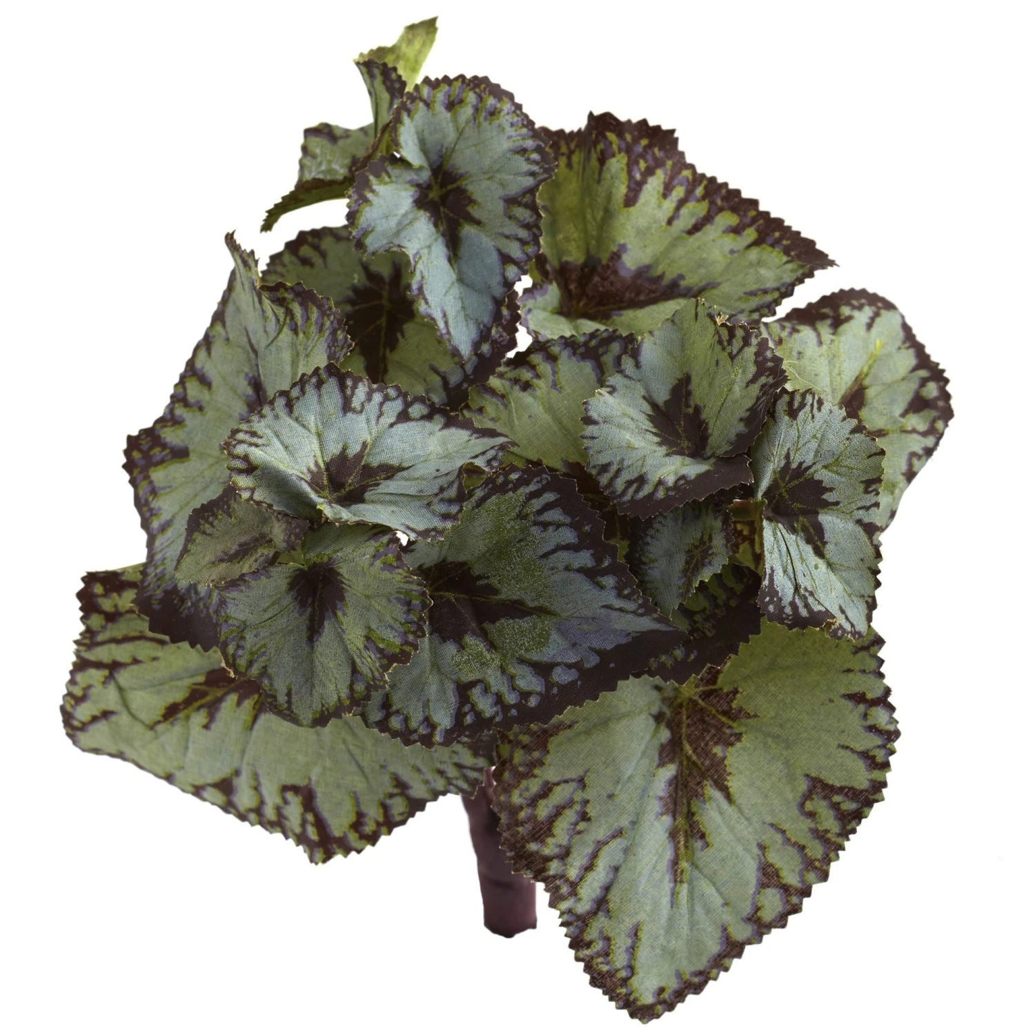 Rex Begonia Artificial Bush (Set Of 12) 5 Rex Begonia Artificial Bush (Set Of 12) - Image 3
