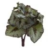 Rex Begonia Artificial Bush (Set Of 12) -Artificial Flowers Sale artificial rex begonia artificial bush set of 12 nearly natural 356690