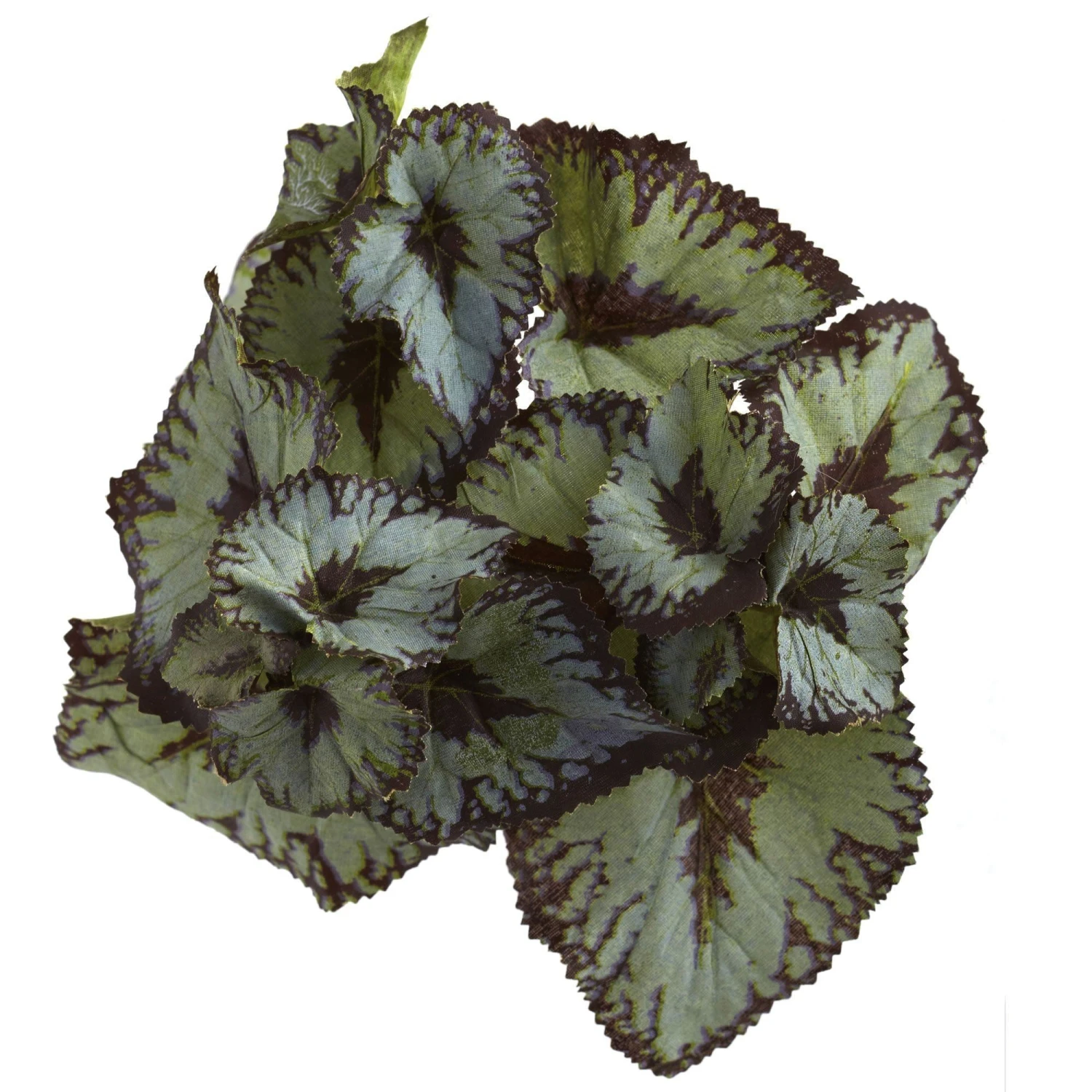 Rex Begonia Artificial Bush (Set Of 12) 4 Rex Begonia Artificial Bush (Set Of 12) - Image 2