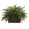 River Fern W/Wood Planter -Artificial Flowers Sale artificial river fern wwood planter nearly natural 809018