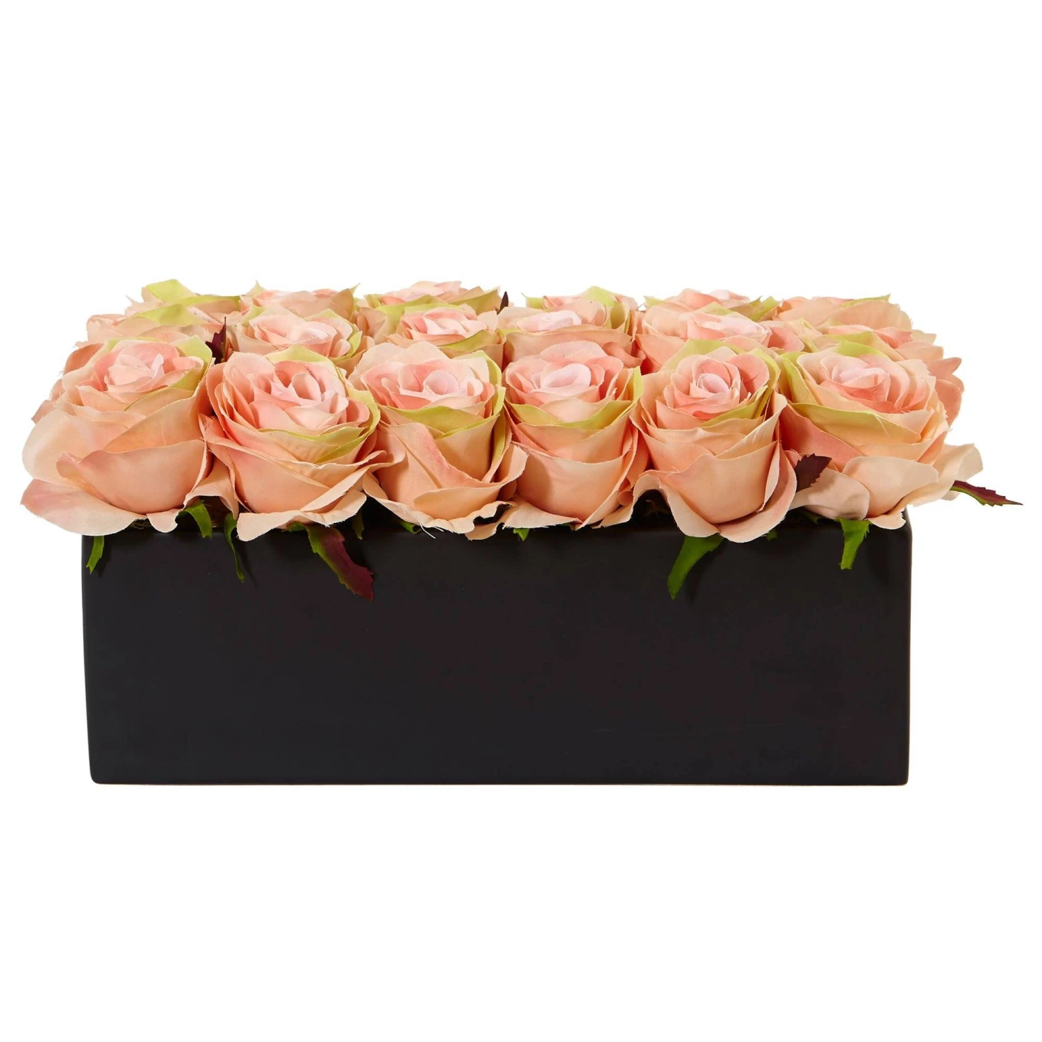 Roses In Rectangular Planter 18 Roses In Rectangular Planter - Image 16