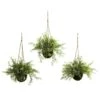 Ruscus, Sedum & Springeri Hanging Basket (Set Of 3) 2 Ruscus, Sedum & Springeri Hanging Basket (Set Of 3) -Artificial Flowers Sale artificial ruscus sedum springeri hanging basket set of 3 nearly natural 205216