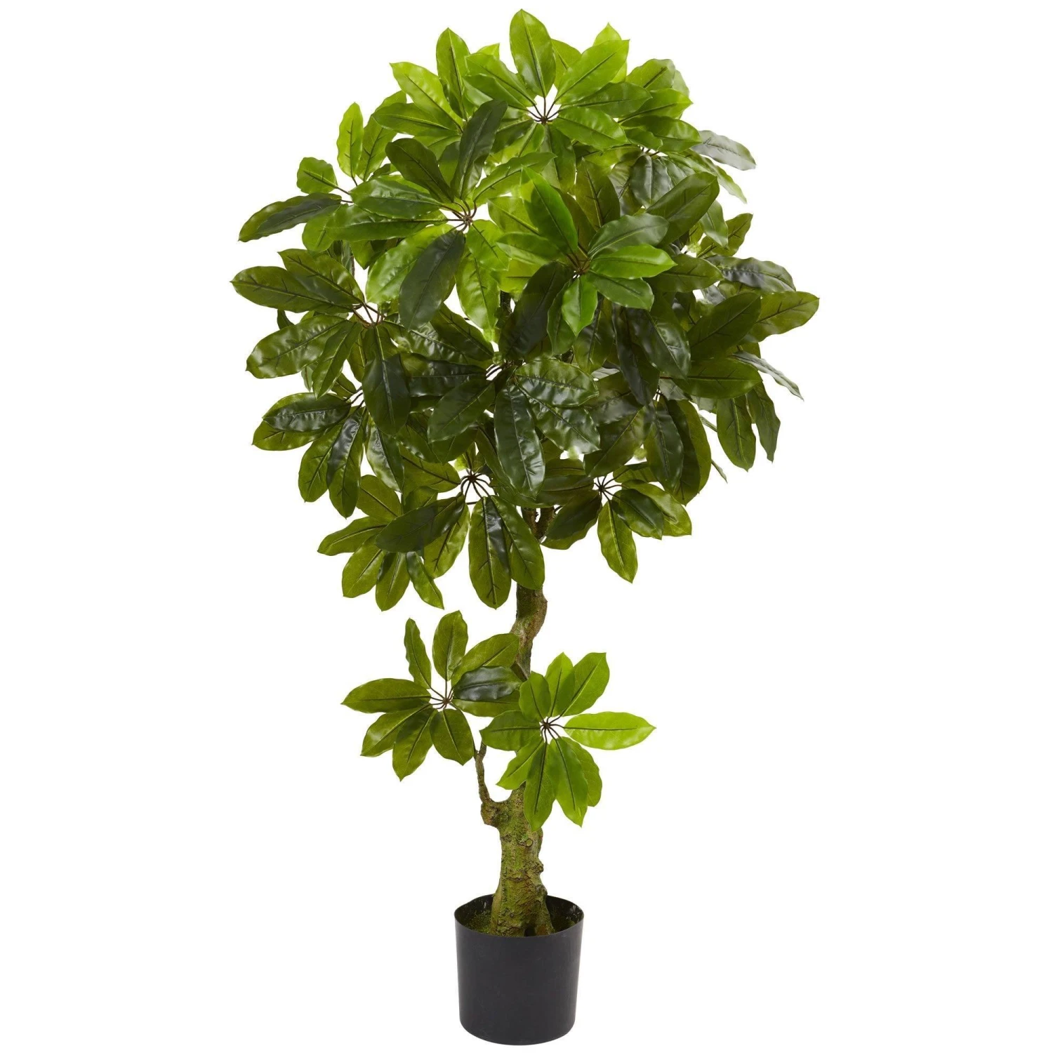 Schefflera Artificial Tree UV Resistant (Indoor/Outdoor) 3 Schefflera Artificial Tree UV Resistant (Indoor/Outdoor)