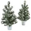 Snowy Pine Christmas Tree With Tin (Set Of 2) 1 Snowy Pine Christmas Tree With Tin (Set Of 2) -Artificial Flowers Sale artificial snowy pine tree with tin set of 2 nearly natural 272108