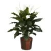 Spathyfillum W/Vase Silk Plant -Artificial Flowers Sale artificial spathyfillum wvase silk plant nearly natural 648775