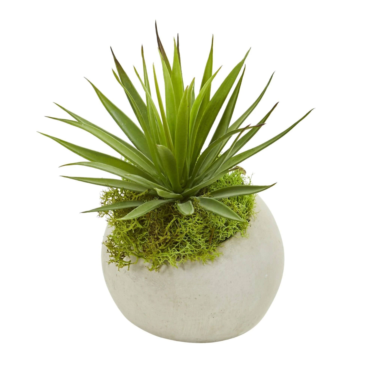 Spiky Agave Artificial Plant In Planter (Set Of 2) 4 Spiky Agave Artificial Plant In Planter (Set Of 2) - Image 2