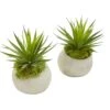 Spiky Agave Artificial Plant In Planter (Set Of 2) -Artificial Flowers Sale artificial spiky agave artificial plant in planter set of 2 nearly natural 288821